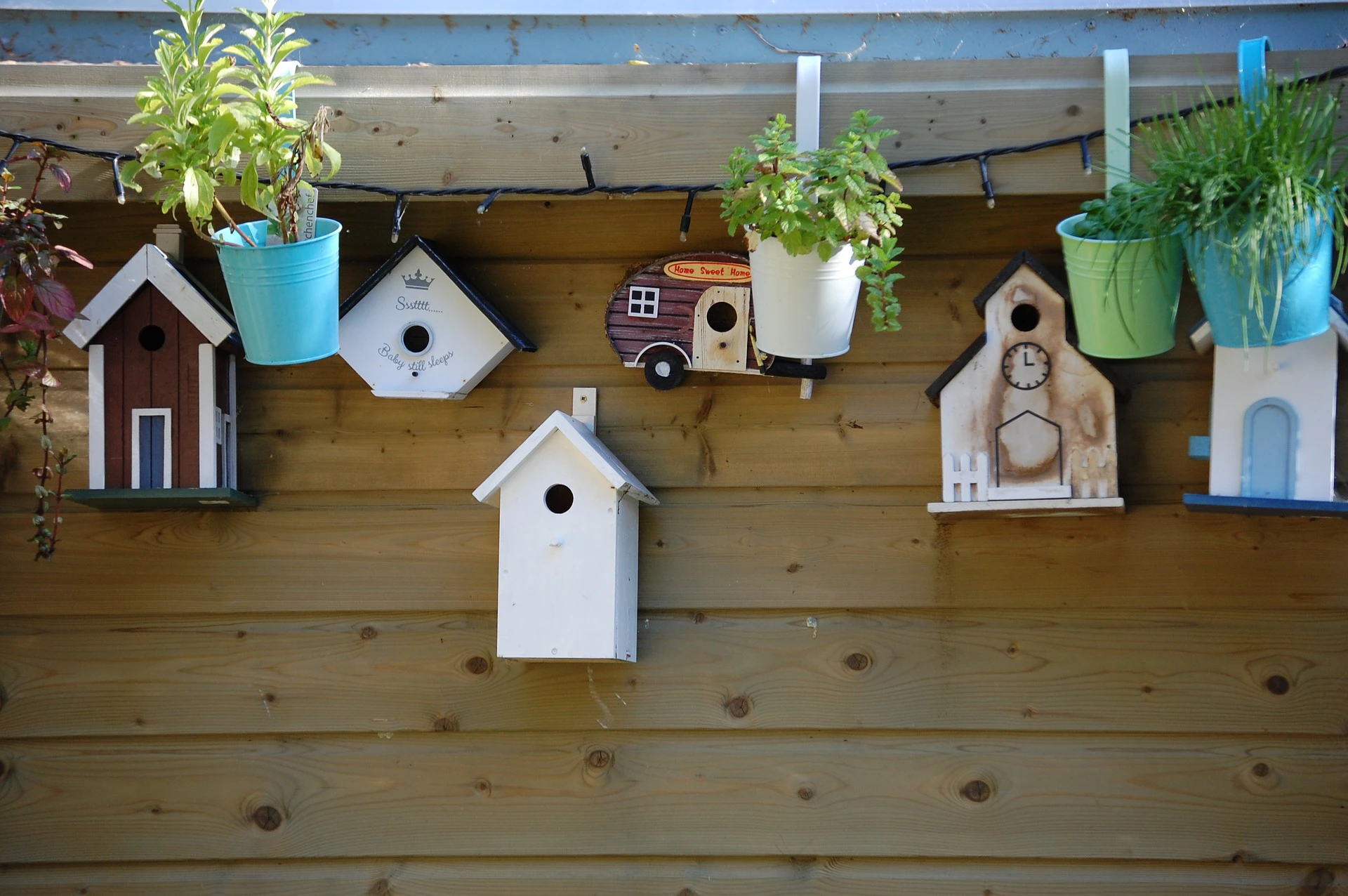 Housing First in Westelijke Mijnstreek